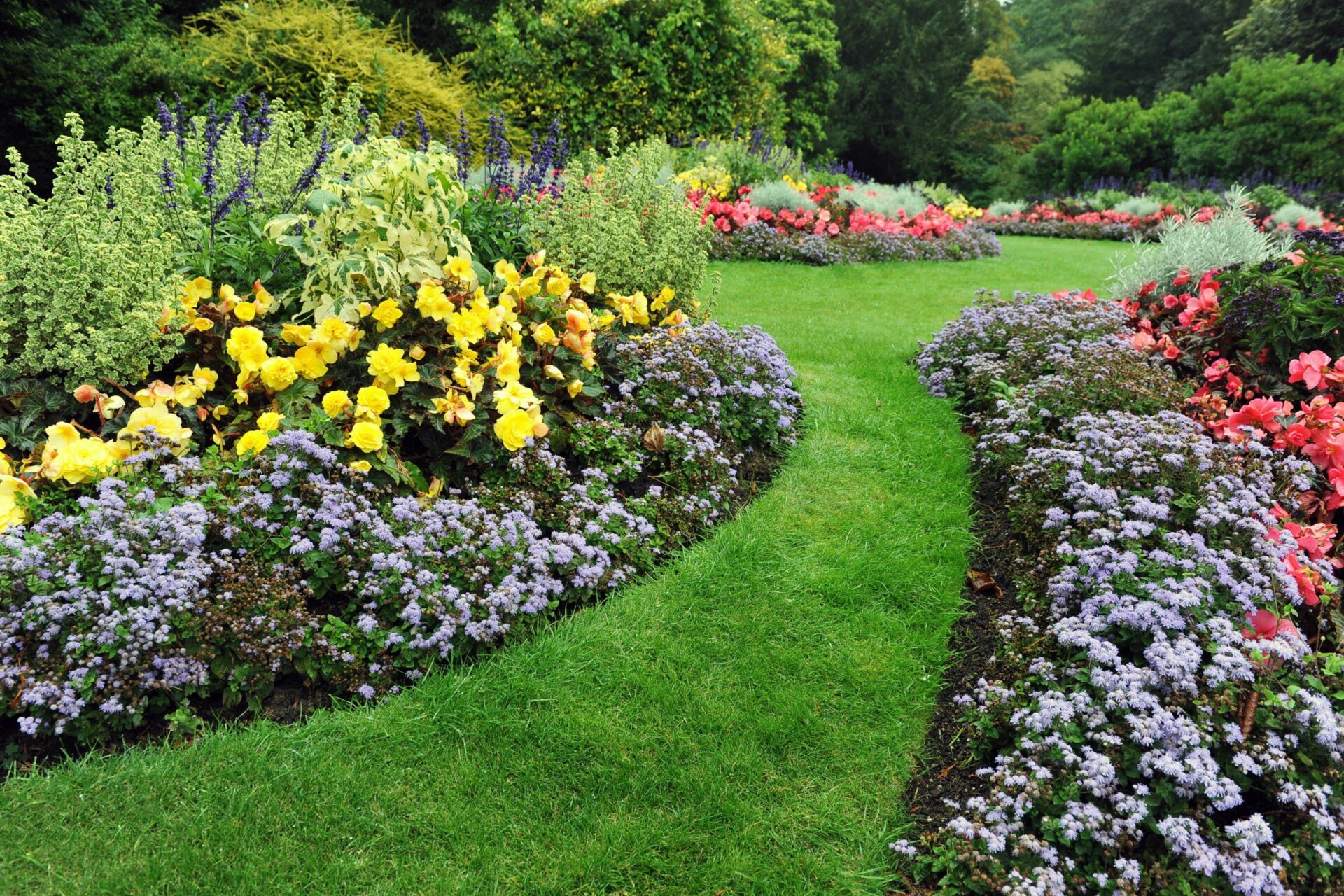 “Landscaping for Small Spaces: Maximizing Beauty in Limited Areas”