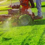 "Trimming the grass is crucial to maintaining a clean and organized look in your garden."